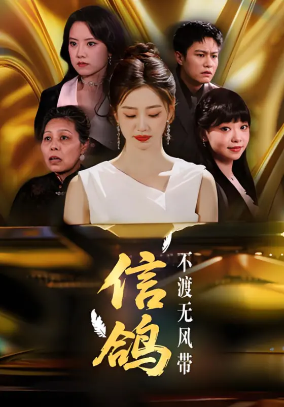 《信鸽不渡无风带》：一场关于爱与救赎的成人童话，在无风之处寻找希望的羽翼