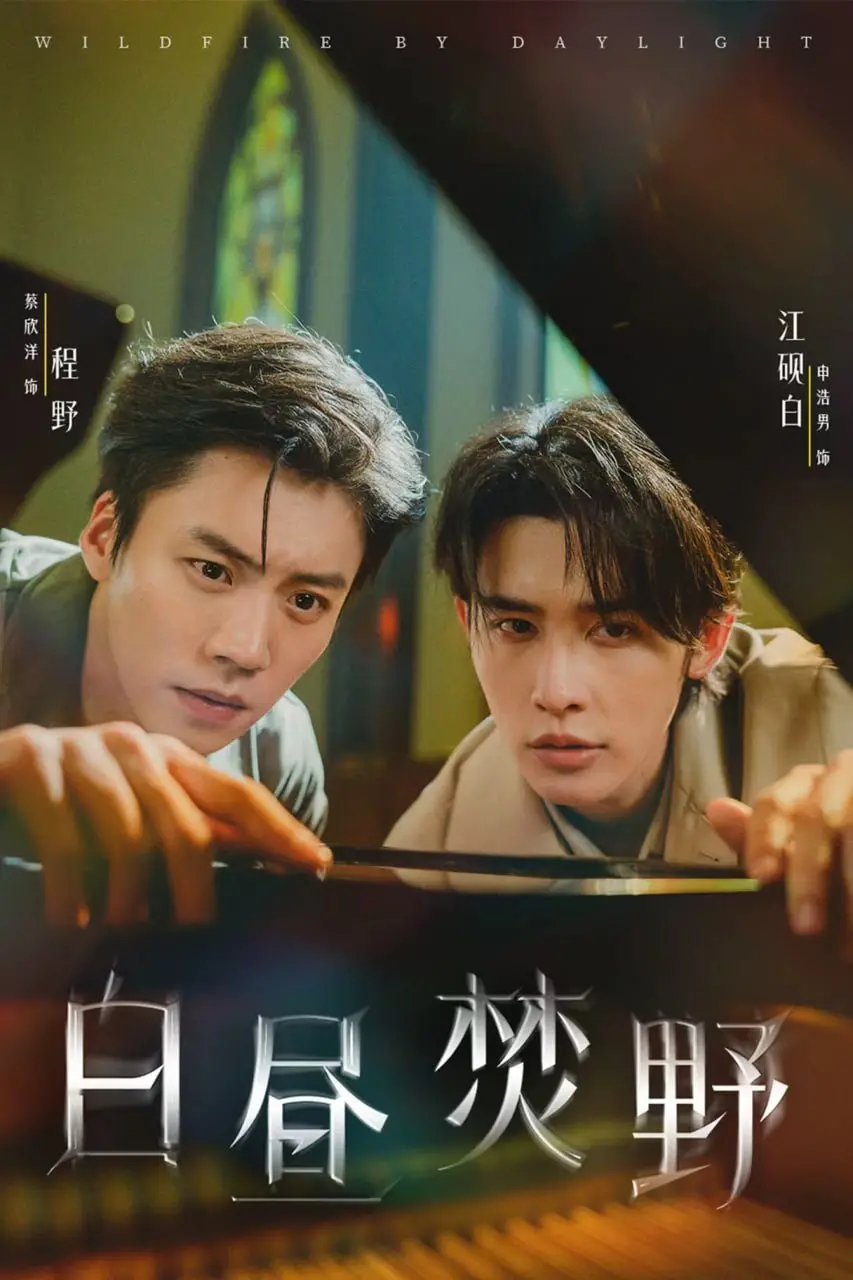 《白昼焚野》影评：一场关于救赎与毁灭的烈火炼狱，人性在绝望中挣扎