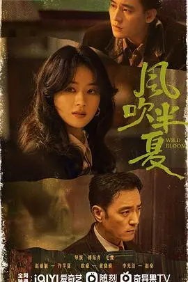 《风吹半夏》：钢厂奋斗史诗，看许半夏如何逆风翻盘，成就商业传奇！