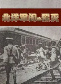 《北洋军阀的覆灭》：乱世英雄的沉浮录，历史洪流中的个人挣扎与救赎之路