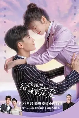 《给你我的独家宠爱》：甜而不腻，治愈系的爱情教科书，看平凡少女如何收获霸道总裁的无限宠溺！